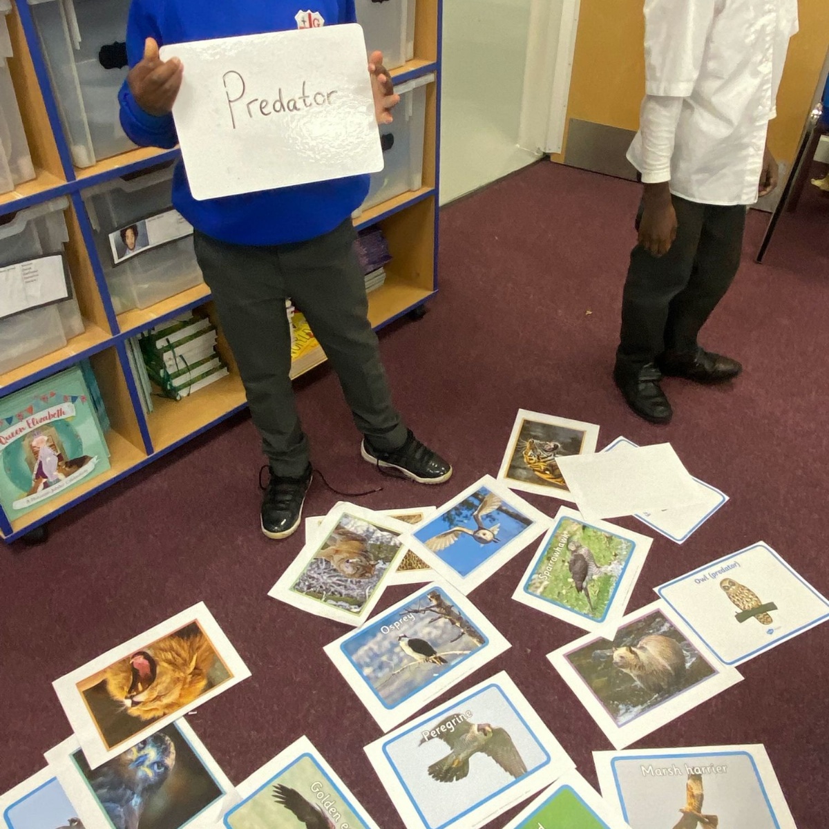 St George's CE Primary School - Predator or Prey?